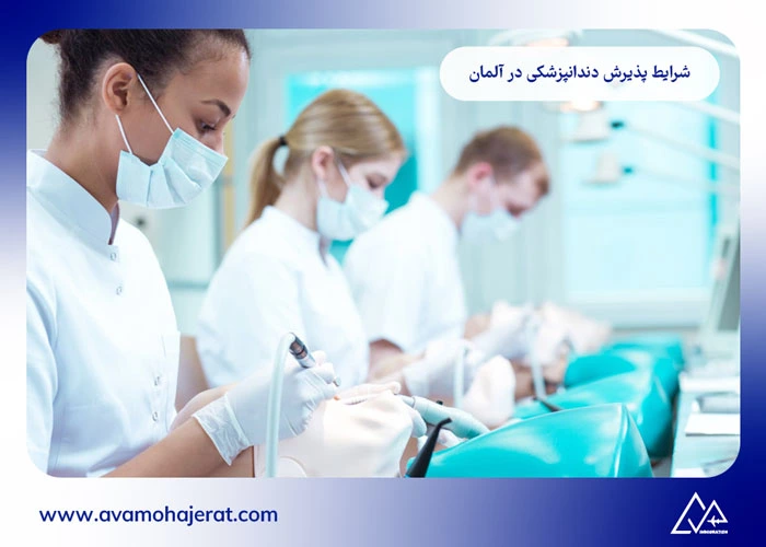 تحصیل دندانپزشکی در آلمان