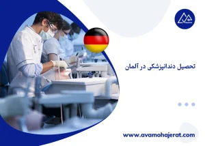 تحصیل دندانپزشکی در آلمان