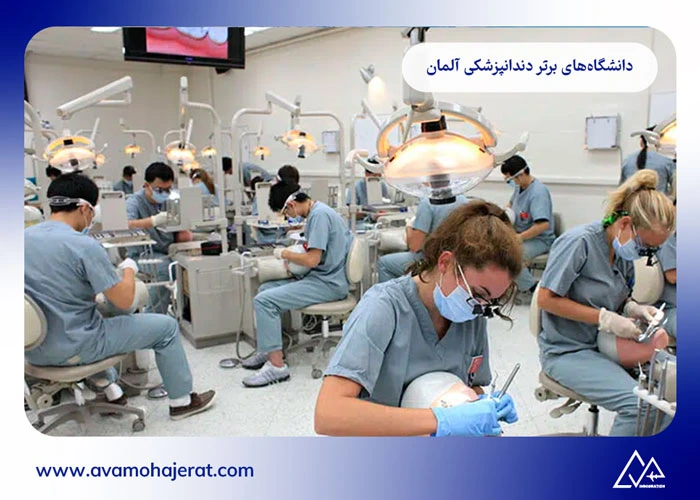 تحصیل دندانپزشکی در آلمان