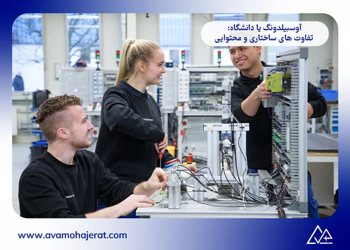 آوسبیلدونگ یا دانشگاه