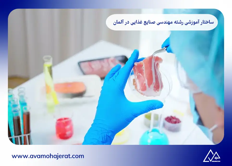 ساختار آموزشی رشته مهندسی صنایع غذایی در آلمان