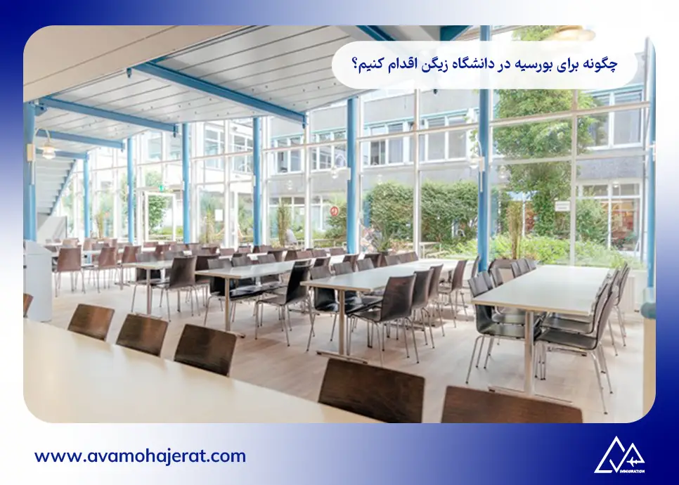 چگونه برای بورسیه در دانشگاه زیگن اقدام کنیم؟