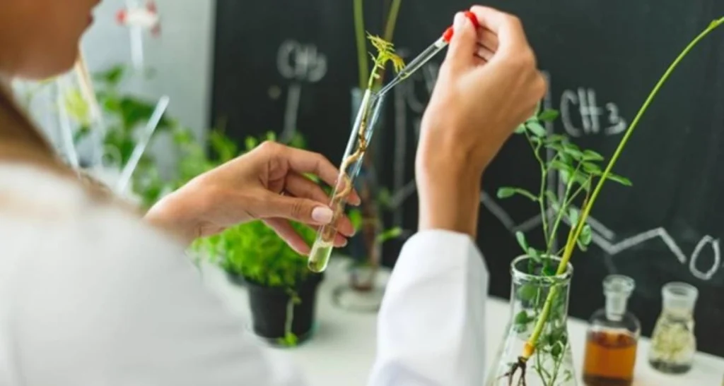 آشنایی با رشته عطرسازی در فرانسه